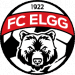 FC Elgg